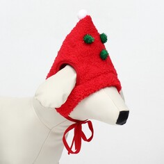 Шапка для животных NO Brand