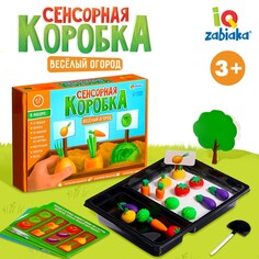 Сенсорная коробка Iq Zabiaka