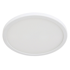 Светильник светодиодный Arte Lamp a7973pl-1wh