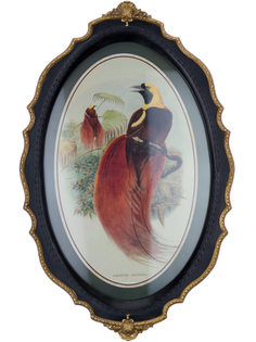 Панно Glasar в овальной резной раме птица с красным пушистым хвостом, 39x24x3 см ГЛАСАР