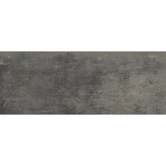 Плитка Fanal Planet Acero Lapado 45x118 см