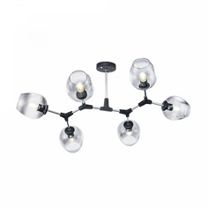 Потолочный светильник Freya FR5006CL-06B Черный 6хE27х60W