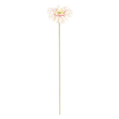 Цветок искусственный Dpi Гербера кремово-розовая, 46 см