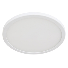 Светильник светодиодный Arte Lamp a7976pl-1wh
