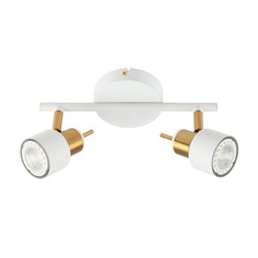 Спот настенно-потолочный Arte lamp a1906pl-2wh