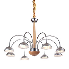 Люстра подвесная Lucia Tucci Natura 065.8 Led