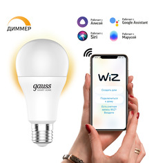 Умная Wi-Fi лампочка Gauss Smart Home А60 8,5W 806лм E27, управление голосом/смартфоном, диммируемая