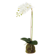 Цветок искусственный Конэко-О Орхидея в декоративном кашпо, 57 см