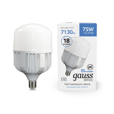 Лампа Gauss Basic T140 75W 6500K E40