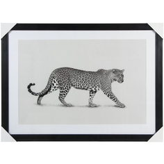 Картина Intco леопард 50x70 см в ассортименте