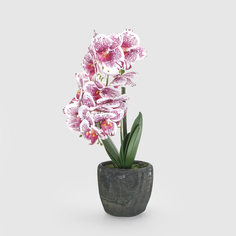 Цветок искусственный Орхидея в горшке 3 цвета 54 см Fuzhou Light