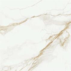 Плитка STN Ceramica P.E.Camile Gold satin rect.120x120 см