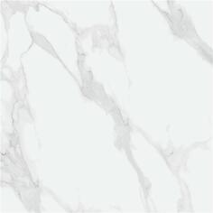 Плитка STN Ceramica P.E.Purity White Pul Rect 120x120