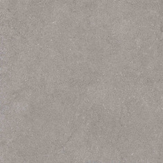 Плитка Estima Luna LN02 36623 60х60 см неполированный серый