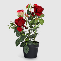 Роза в кашпо Tianjin BDC19138-6R искусственная 51 см