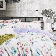 Постельный комплект Wonne Traum elegance colibri полуторный