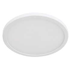 Светильник светодиодный Arte Lamp a7971pl-1wh