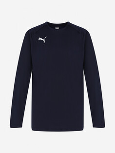 Толстовка футбольный для мальчиков PUMA Teamliga Training, Синий