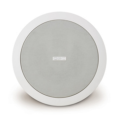 Динамики встраиваемые QSC AD-C42T