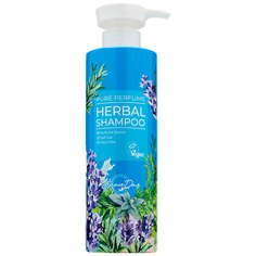 Шампунь для волос GRACE DAY Парфюмированный шампунь с травяным ароматом 500