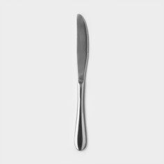 Нож столовый из нержавеющей стали, длина 23 см, цвет серебряный NO Brand