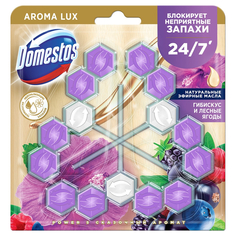 Блок для очищения унитаза Domestos Power 5 Aroma Lux Сказочный аромат, 3х50 г