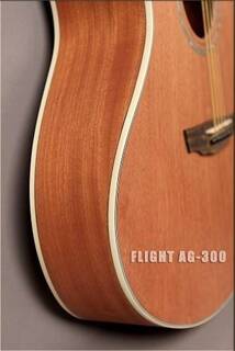 AG-300C NS Flight