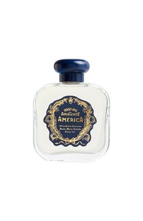 Диффузор Америка (250ml) Santa Maria Novella