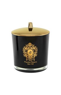 Свеча Foco с ароматом миндаля и ванили (500g) Tiziana Terenzi