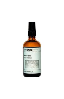 Спрей для дома Bon Vent (100ml) 100BON