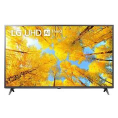 Телевизор LG 65UQ76003LD.ADKG металлический серый/4K Ultra HD/65"/60Hz/DVB-T2/DVB-C/DVB-S/DVB-S2/Wi-Fi/ВТ/SmartTV/2*HDMI/USB