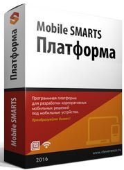 Лицензия Клеверенс MS-CLIENT Mobile SMARTS для терминала сбора данных, позволяет исполнять на ТСД конфигурации Mobile SMARTS в батч- и радио-режимах