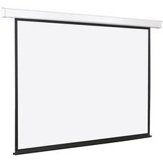 Экран для проекторов Lumien Master Large Control LMLC-100107