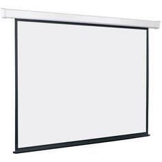 Экран для проекторов Lumien Master Control LMC-100110