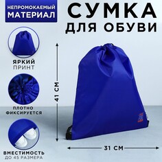 Сумка для обуви Art Fox Study