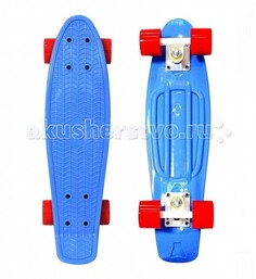 Скейтборды Y-Scoo Скейтборд Penny board RT 22 Classic