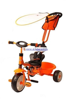 Трехколесные велосипеды Велосипед трехколесный Rich Toys Rich Trike T18-F