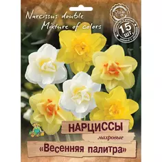 Нарциссы махровые Весенняя палитра микс, 15 шт. ПОИСК