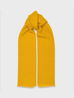 Классический женский палантин (70*200cm) Elis