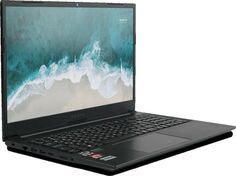 Ноутбук Nerpa Caspica I552-15 i5-1235U/16GB/512GB SSD/Iris Xe Graphics/15.6" IPS/noDVD/BT/WiFi/Win10Pro/titanium black