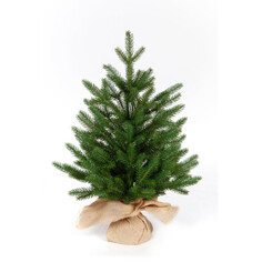 Искусственные елки Crystal Trees Ель Персея 60 см