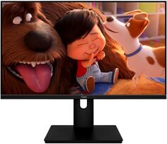 Монитор Aiwa 23.8" MF240B-L Black