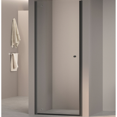 Душевая дверь RGW