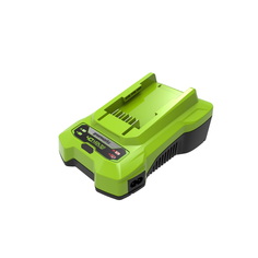 Зарядное устройство Greenworks G40C 2932507