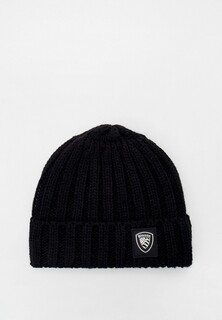 Шапка Blauer USA 