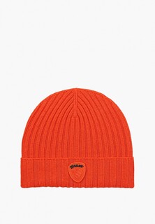 Шапка Blauer USA 