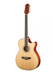 Акустические гитары Naranda TG220CNA