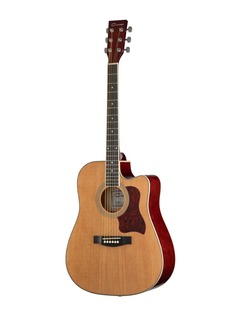 Акустические гитары Caraya F641-N