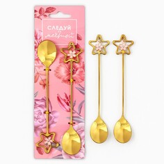 Подарочный набор ложек с подвесами Семейные традиции