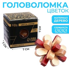 Головоломка деревянная игры разума Puzzle